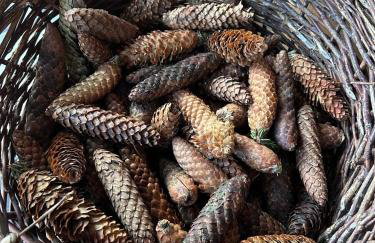 Chatka Baby Agi - Foto 18