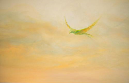 MirAntium - Anzio - Santa Teresa - Photo 21