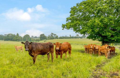 4 Bed in Bramfield oc-sfbri - Foto 17