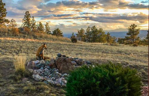Panoramic Views! The Cozy Fox Cabin in Livermore - Foto 38