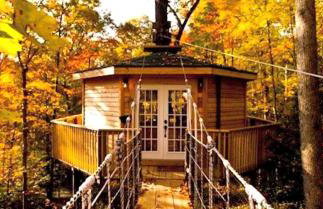 Stunning Tree House Rental in the Forest near Beckley, West Virginia - Foto 2