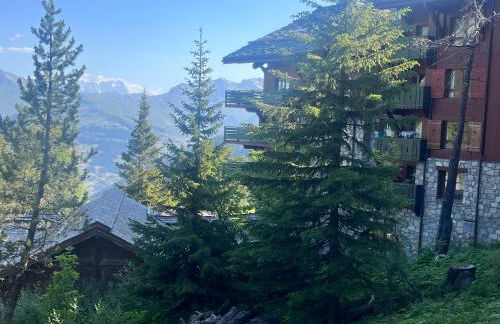 Arc 1950 Ski in Ski out and Spa- Newly refurbished 153 Sources De Marie- 2 bedroom , 2 bathroom-Sleeps 4-6, Mont Blanc view from every window, Free WiFi - Foto 35