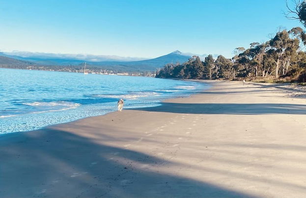 Driftwood Cottages - Photo 1