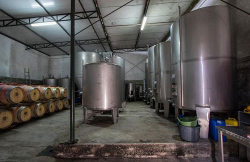 Quinta da Fata - Foto 45