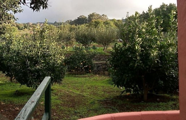 Finca El Pastel - Foto 58