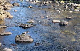 Stylish Garden Flat Near Loch Ness - Foto 38