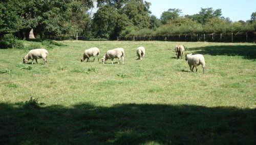 Stable Cottage - Milton Lilbourne - Foto 4