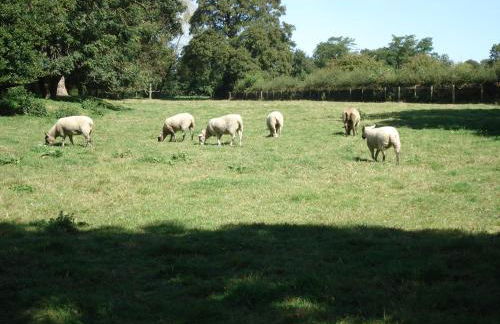 Stable Cottage - Milton Lilbourne - Foto 4