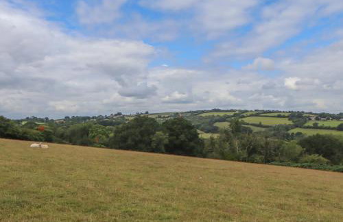 The Cadeleigh - Foto 35