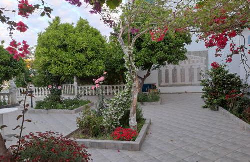 Hotel Apollon - Foto 43