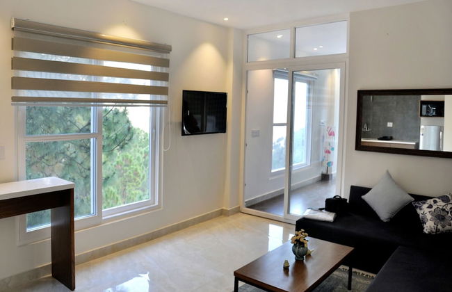 OYO 13463 Home Studio Valley view Kumarhatti - Foto 1