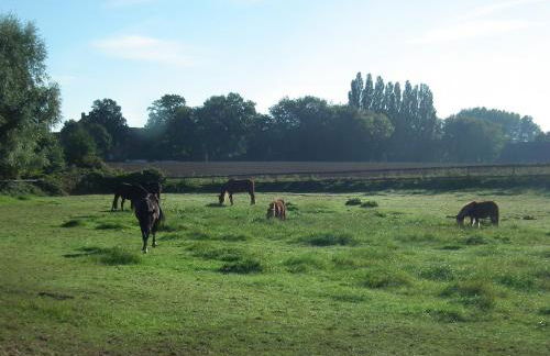 Ferienwohnung "Landblick" - Foto 29