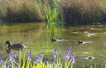 The Granary Stradbroke - Foto 29