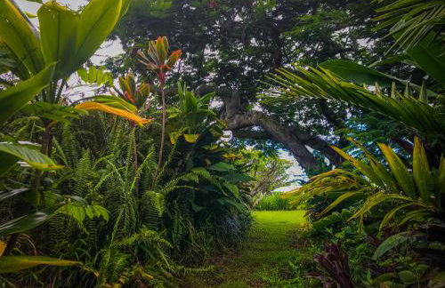 Gingerhill Farm Retreat - Foto 42