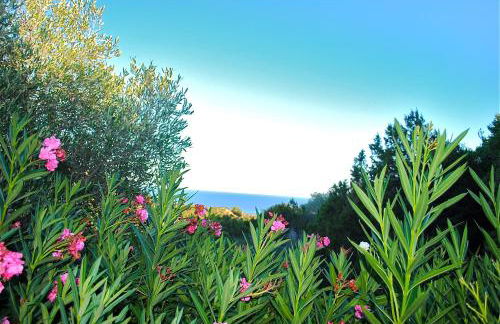 Villa F2 Tonnara pour 4 personnes, Rondinara, Bonifacio - Foto 16