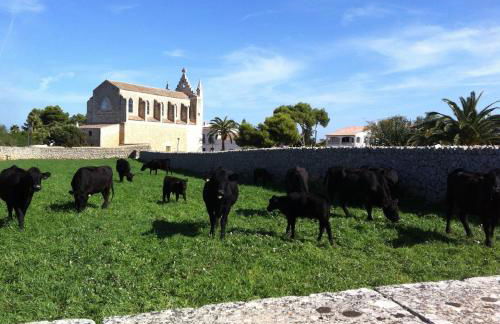 Agroturismo Llucmaçanes Gran - Foto 114