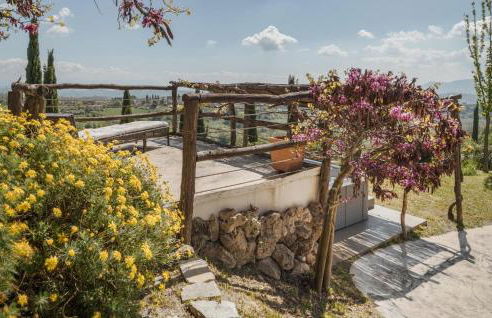 Blue Cherry - Foto 27