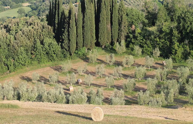 Belvilla by OYO Mandorlo - Foto 24