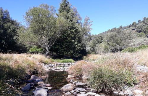 A Mansão do Mé-Mé - Foto 45