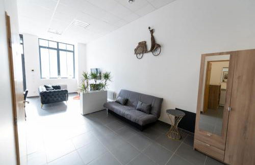 LOFT LA MINE D'OR - Parking gratuit et privé - Wifi - Tout équipé - Machine à laver - Foto 28