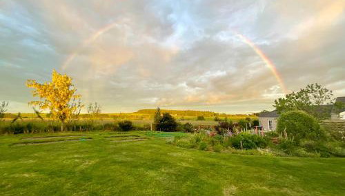 The Wee Hoose - Foto 2