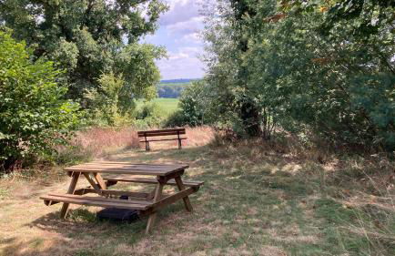 Métairie de Moutiques - Photo 10