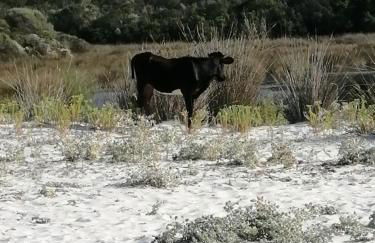 Maison 9 couchages avec piscine et jardin au calme - Foto 10