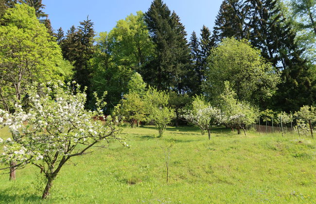 Hillside Lodge & Garden - Foto 34