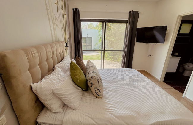 Nofey Habashan - Foto 19