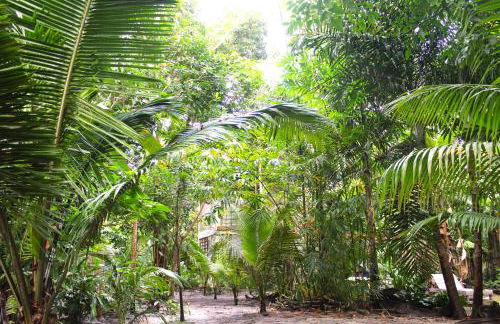 REFUGIO DO SAGRADO MORERE Tropical Lodge - A Casa do Vigía - Foto 19