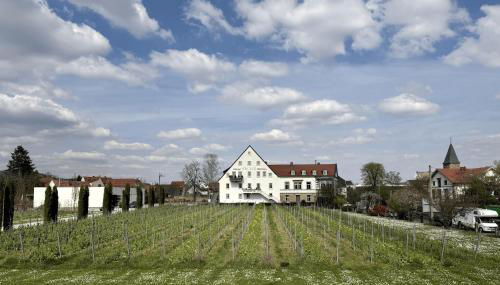 WeinZeit13 Wohlfuehlen an der Weinstrasse mit Sauna - Foto 2