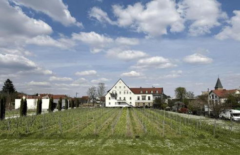 WeinZeit13 Wohlfuehlen an der Weinstrasse mit Sauna - Foto 2