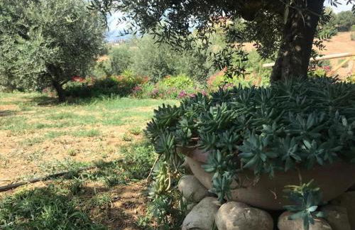 Appartamento Olivo - Foto 16