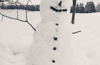 Ferienwohnung Zeitlos, gigantischer Seeblick, WLAN, gerne mit Hund - Foto 26