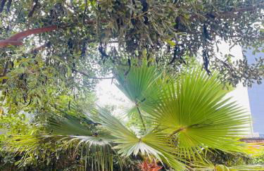 Casita Villa Serena Busot - Foto 19