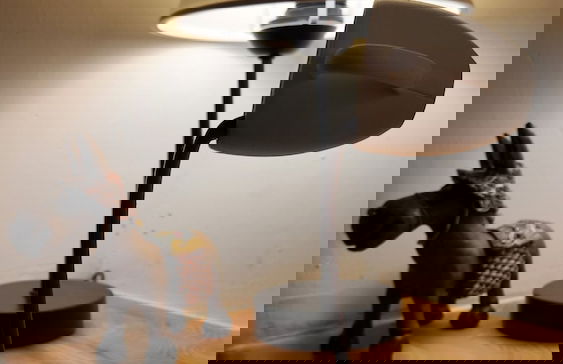 İREM APART - Foto 3