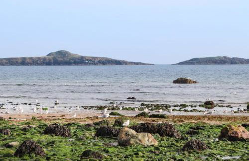 Bryn Ffynnon - Photo 33