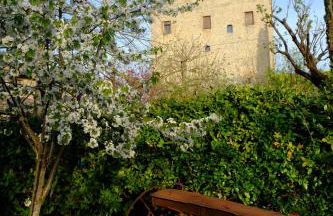 Agriturismo La Roverella - Foto 60