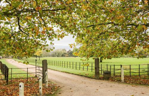 The Old Swill House - Foto 28