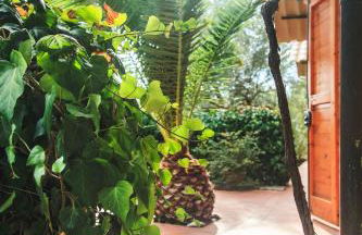 Case Vacanza Podere Risoino - Foto 30