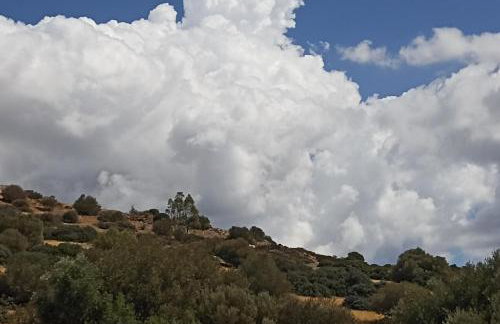 Cosy garden house in a villa - Foto 16