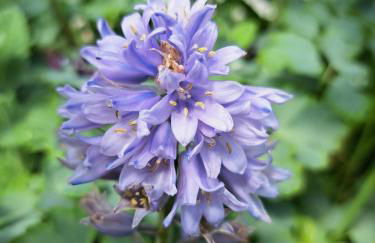 "Zur Alten Schusterei" 98597 Breitungen an der Werra - Foto 41