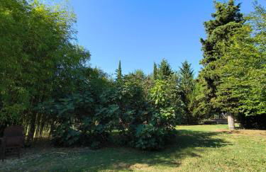 La casina nella fattoria - Foto 21