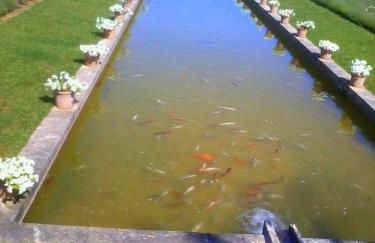 Apartamentos Petit Blau - Foto 41