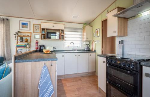 Little Curlew, Ynyslas, Borth - Foto 4