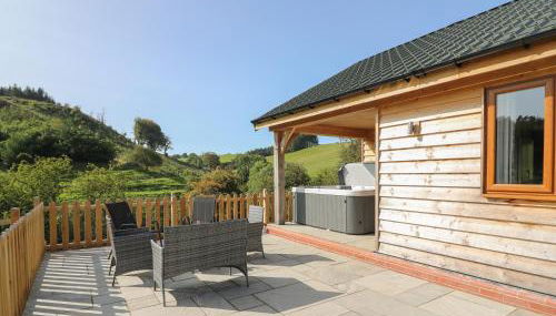 Ploony Hill Cabin - Photo 2