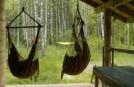 Biały Las Magiczna Stara Chata Puszcza Białowieska - Foto 44