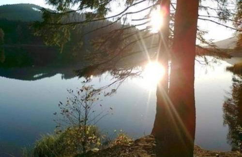 Detached Holiday Residence in the Wonderfully Beautiful Harz - Foto 76