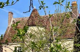 Manoir de La Barre Ceton - Foto 8