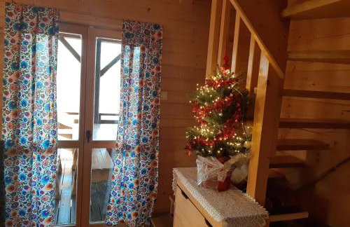 U Kazika w górach - Foto 30